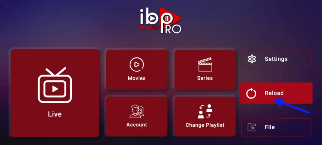 MaxCanales IPTV dashboard showing live channels, movies, and series